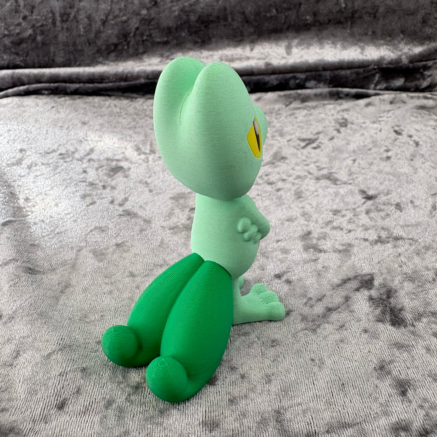 0252 Treecko