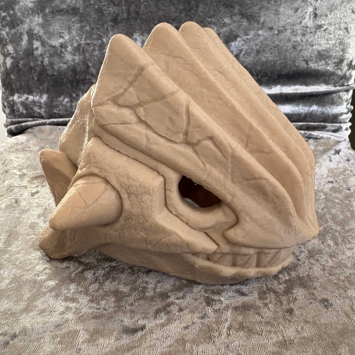 0383 Groudon Skull
