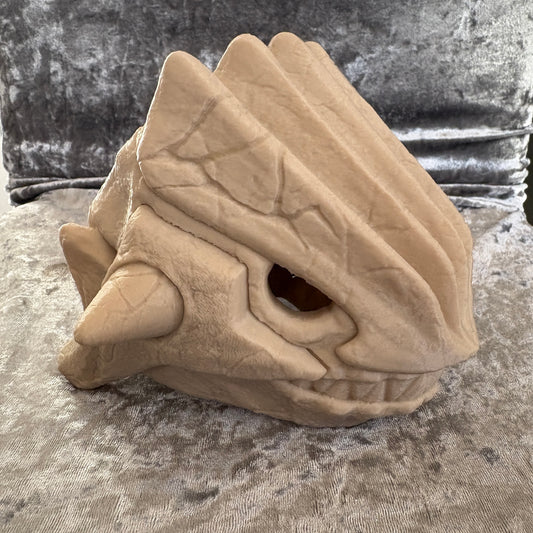 0383 Groudon Skull
