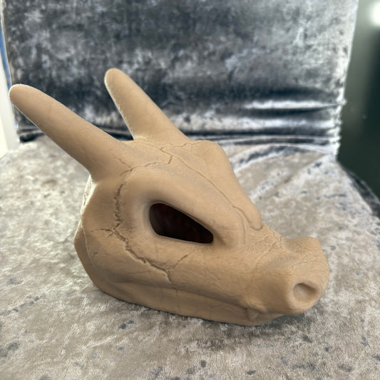0006 Charizard Skull