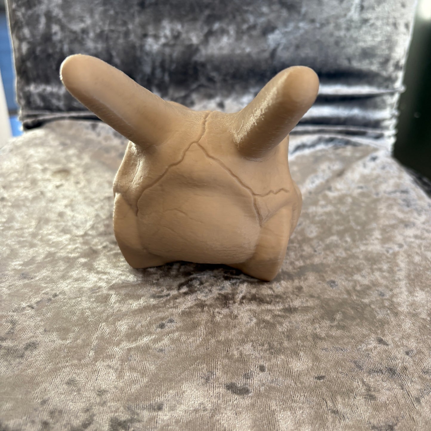 0006 Charizard Skull