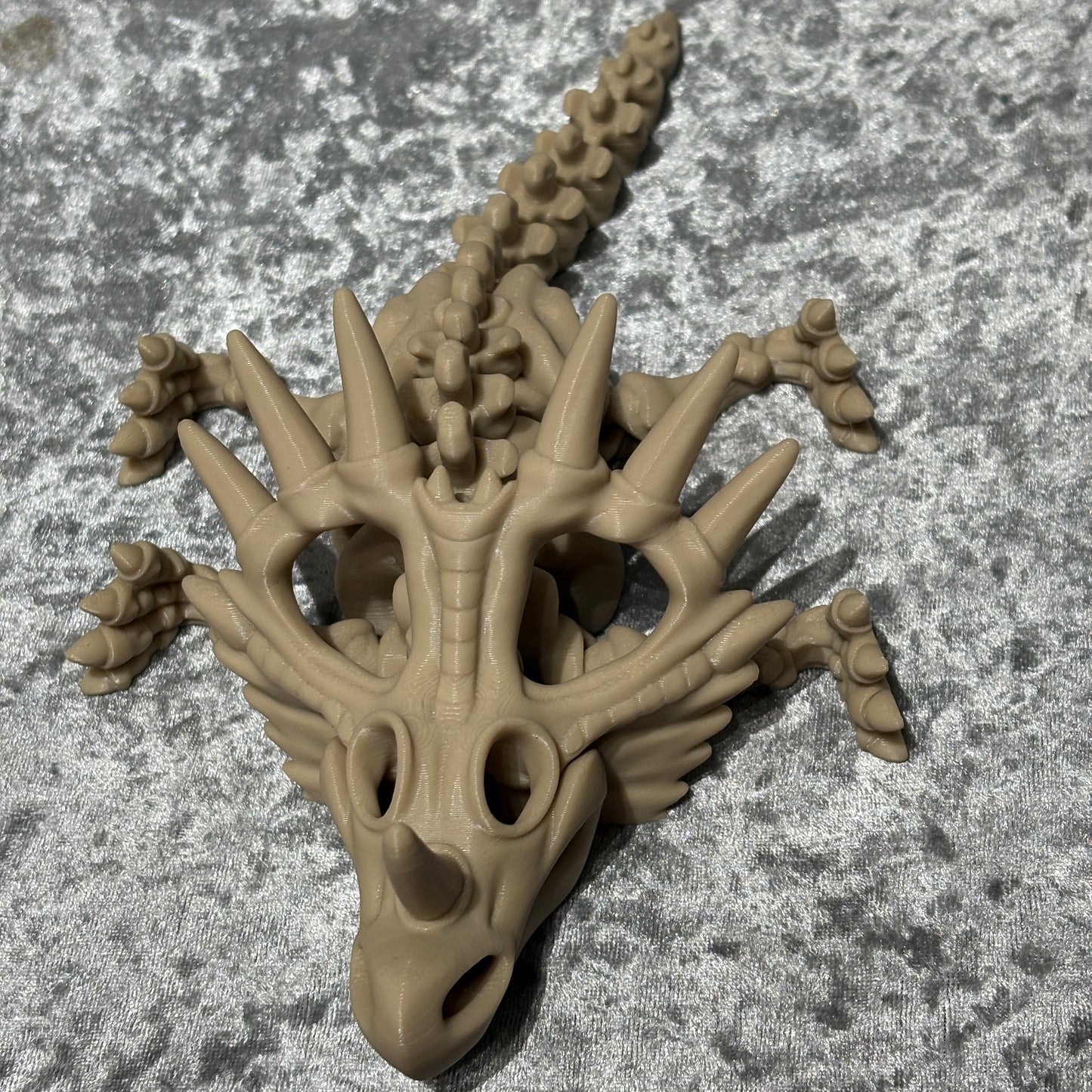Styracosaurus