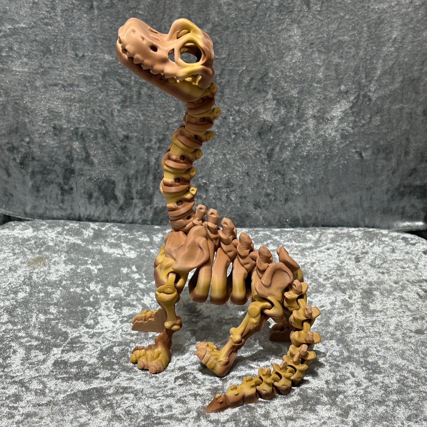Brachyosaurus