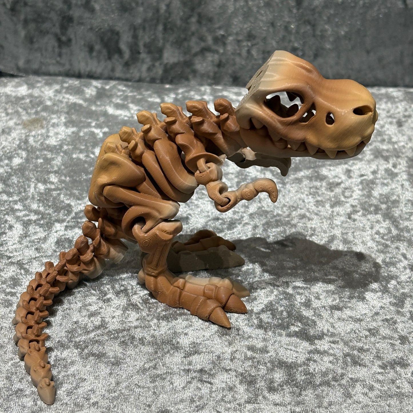 Tyranasaurus Rex