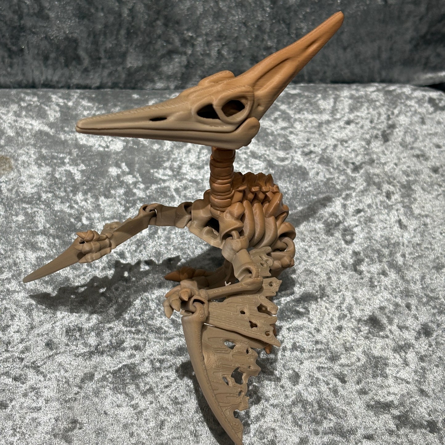 Pteranodon