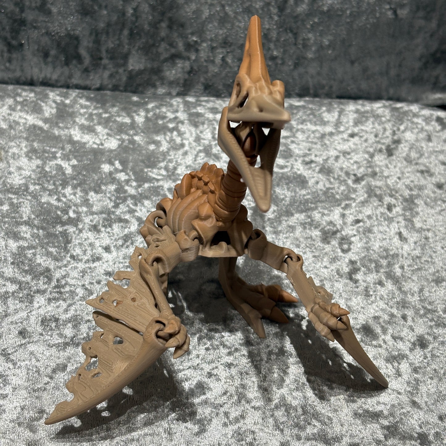 Pteranodon