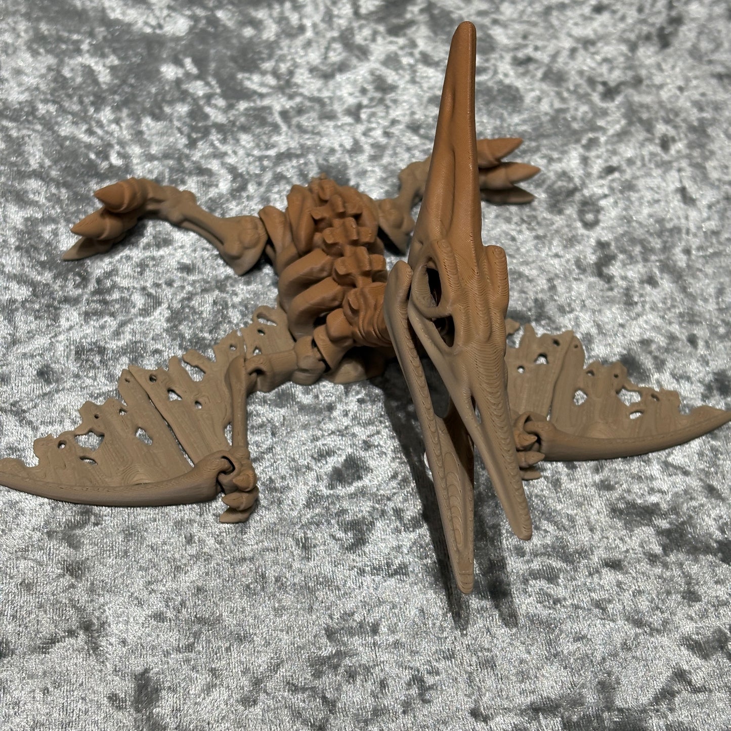Pteranodon