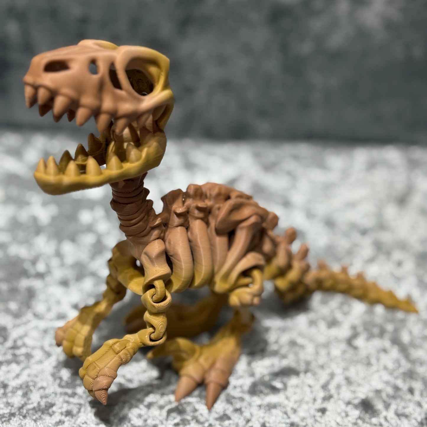 Veloceraptor