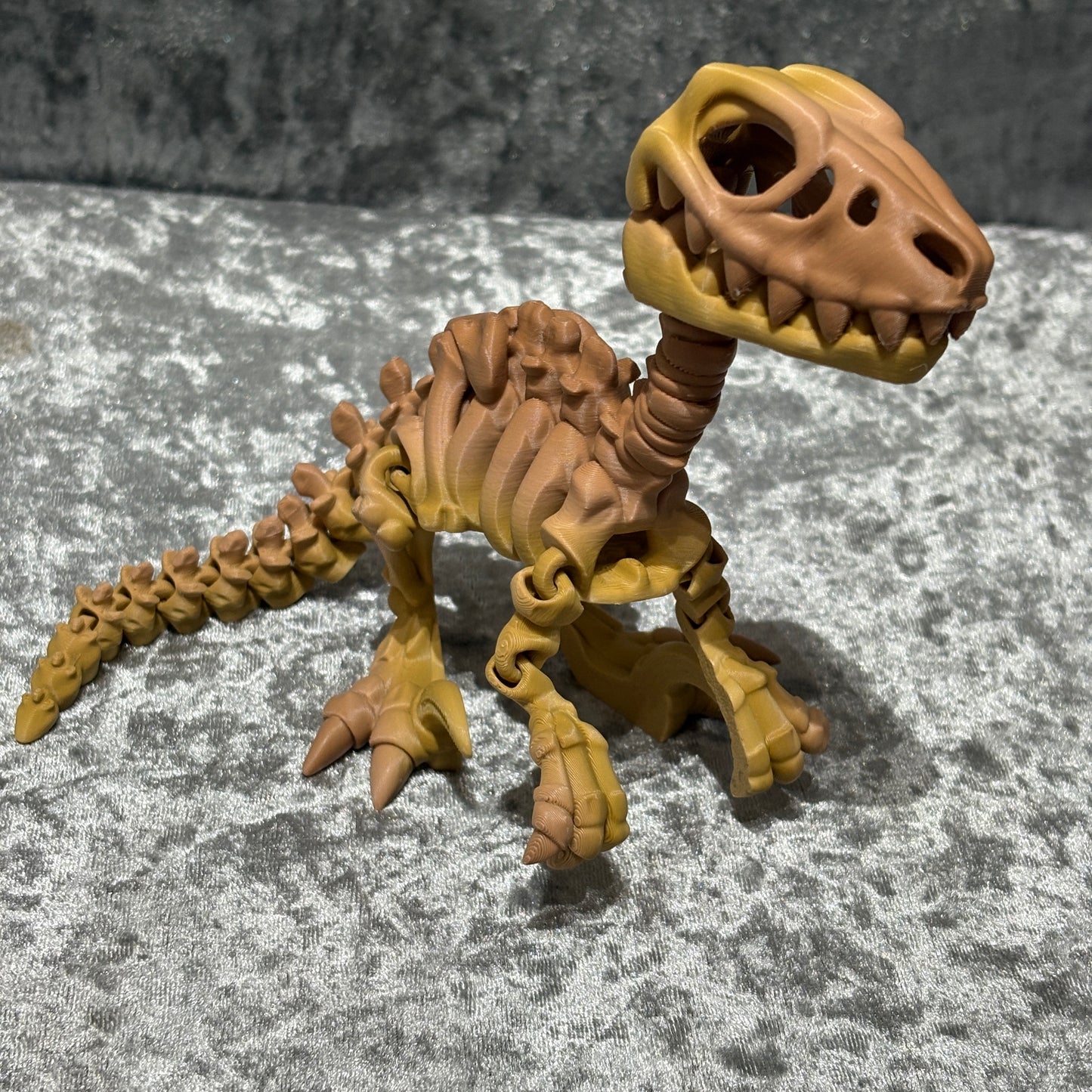 Veloceraptor