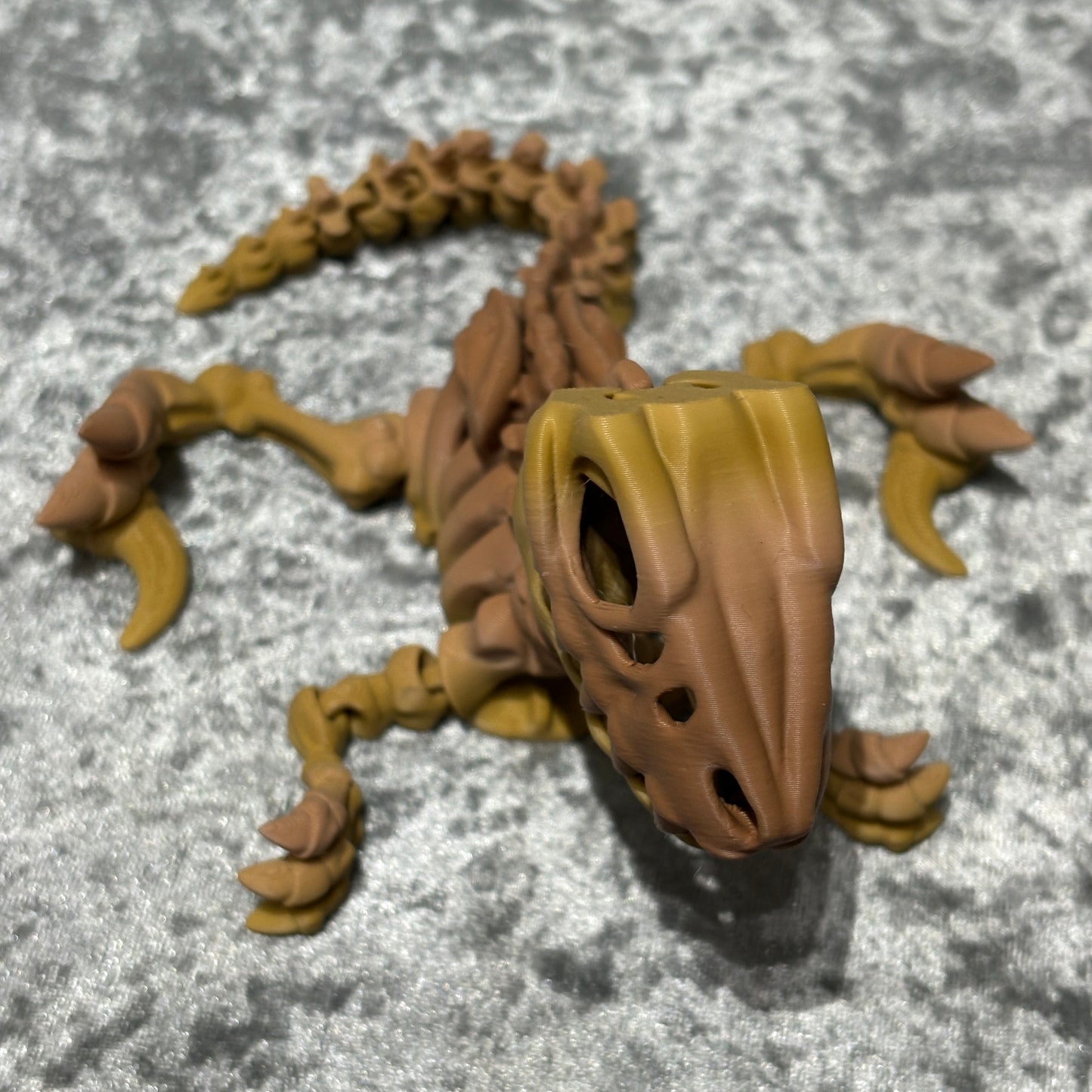 Veloceraptor