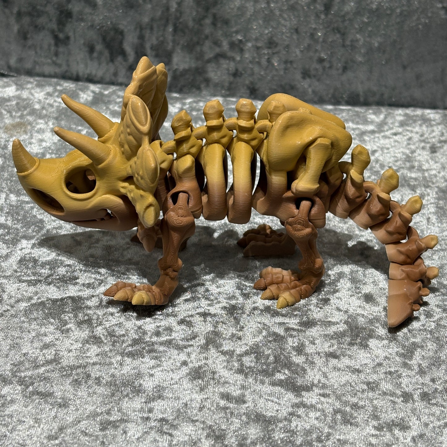 Triceratops