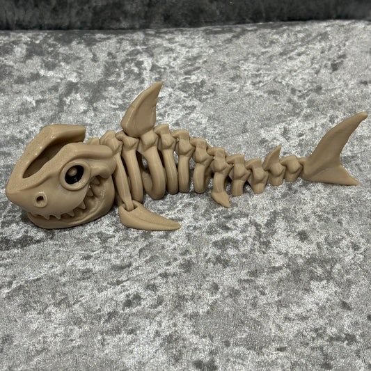 Shark Skeleton